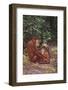 Orangutan-DLILLC-Framed Photographic Print