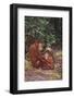 Orangutan-DLILLC-Framed Photographic Print