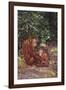 Orangutan-DLILLC-Framed Photographic Print