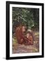 Orangutan-DLILLC-Framed Photographic Print