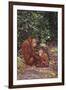 Orangutan-DLILLC-Framed Photographic Print