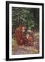 Orangutan-DLILLC-Framed Photographic Print