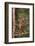 Orangutan-DLILLC-Framed Photographic Print