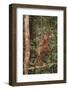 Orangutan-DLILLC-Framed Photographic Print