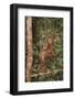 Orangutan-DLILLC-Framed Photographic Print