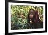 Orangutan-DLILLC-Framed Photographic Print