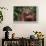 Orangutan-DLILLC-Framed Photographic Print displayed on a wall