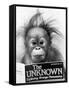 Orangutang, October 1986-null-Framed Stretched Canvas