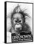 Orangutang, October 1986-null-Framed Stretched Canvas