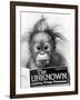 Orangutang, October 1986-null-Framed Photographic Print