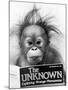 Orangutang, October 1986-null-Mounted Photographic Print