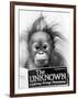 Orangutang, October 1986-null-Framed Photographic Print