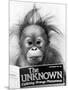 Orangutang, October 1986-null-Mounted Photographic Print