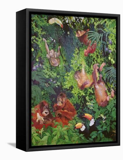 Orangutangs and Toucans, 1998-Odile Kidd-Framed Stretched Canvas