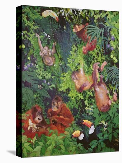 Orangutangs and Toucans, 1998-Odile Kidd-Stretched Canvas