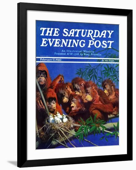 "Orangutans & Bird Nest," Saturday Evening Post Cover, February 17, 1940-Julius Moessel-Framed Giclee Print