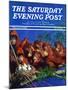 "Orangutans & Bird Nest," Saturday Evening Post Cover, February 17, 1940-Julius Moessel-Mounted Giclee Print