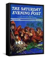 "Orangutans & Bird Nest," Saturday Evening Post Cover, February 17, 1940-Julius Moessel-Framed Stretched Canvas