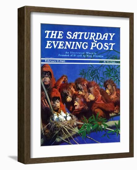 "Orangutans & Bird Nest," Saturday Evening Post Cover, February 17, 1940-Julius Moessel-Framed Giclee Print