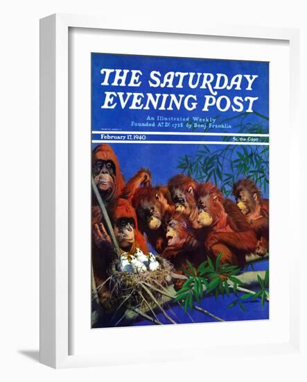 "Orangutans & Bird Nest," Saturday Evening Post Cover, February 17, 1940-Julius Moessel-Framed Giclee Print