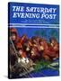 "Orangutans & Bird Nest," Saturday Evening Post Cover, February 17, 1940-Julius Moessel-Stretched Canvas