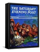 "Orangutans & Bird Nest," Saturday Evening Post Cover, February 17, 1940-Julius Moessel-Framed Stretched Canvas