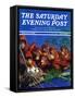 "Orangutans & Bird Nest," Saturday Evening Post Cover, February 17, 1940-Julius Moessel-Framed Stretched Canvas