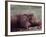 Orangutans in Captivity, Sandakan, Soabah, and Malasia, Town in Br. North Borneo-Co Rentmeester-Framed Photographic Print