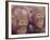 Orangutans in Captivity, Sandakan, Soabah, and Malasia, Town in Br. North Borneo-Co Rentmeester-Framed Photographic Print