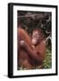 Orangutans-DLILLC-Framed Photographic Print