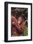 Orangutans-DLILLC-Framed Photographic Print