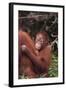 Orangutans-DLILLC-Framed Photographic Print