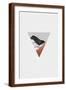 Brown Frame