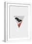 White Frame