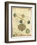 Orbital Activity Demo-null-Framed Giclee Print