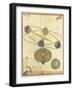 Orbital Activity Demo-null-Framed Giclee Print