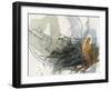 Orbital Burst I-Victoria Barnes-Framed Art Print