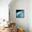Orbiting Space Laboratory Skylab Aloft Above Earth-null-Framed Stretched Canvas displayed on a wall