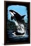 Orca and Calf - Scratchboard-Lantern Press-Framed Art Print