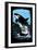 Orca and Calf - Scratchboard-Lantern Press-Framed Art Print