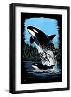 Orca and Calf - Scratchboard-Lantern Press-Framed Art Print