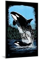 Orca and Calf - Scratchboard-Lantern Press-Mounted Art Print