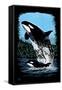 Orca and Calf - Scratchboard-Lantern Press-Framed Stretched Canvas