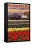 Orca and Calf - Tulip Fields-Lantern Press-Framed Stretched Canvas