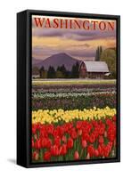 Orca and Calf - Tulip Fields-Lantern Press-Framed Stretched Canvas