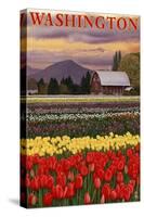 Orca and Calf - Tulip Fields-Lantern Press-Stretched Canvas