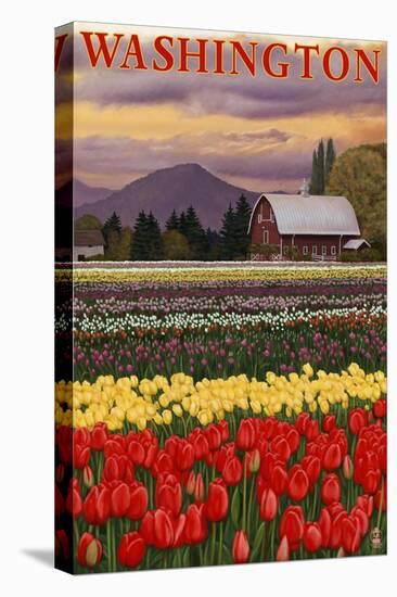 Orca and Calf - Tulip Fields-Lantern Press-Stretched Canvas