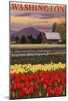 Orca and Calf - Tulip Fields-Lantern Press-Mounted Art Print