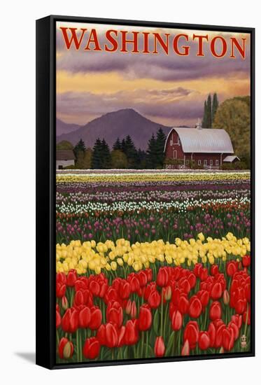 Orca and Calf - Tulip Fields-Lantern Press-Framed Stretched Canvas