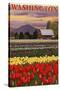 Orca and Calf - Tulip Fields-Lantern Press-Stretched Canvas